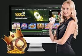 bet gm Roulette Table Game Wheel Spin ကာစီနိုဂိမ်း